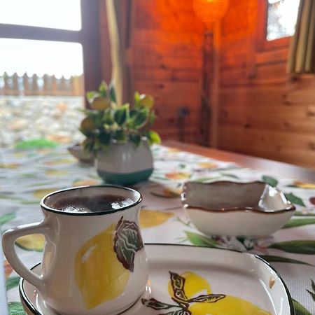 Vila Andizalti Doga Evleri Limon Ev Datça Exteriér fotografie