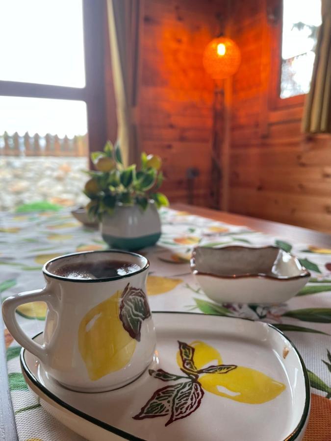 Vila Andizalti Doga Evleri Limon Ev Datça Exteriér fotografie